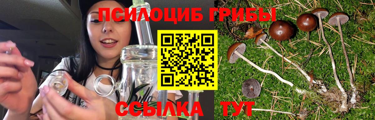 Псилоцибиновые грибы Psilocybine cubensis  где можно купить   Вход с VPN  Унеча  Псилоцибиновые грибы ЛСД 